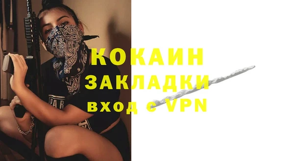 Альфа ПВП Бородино